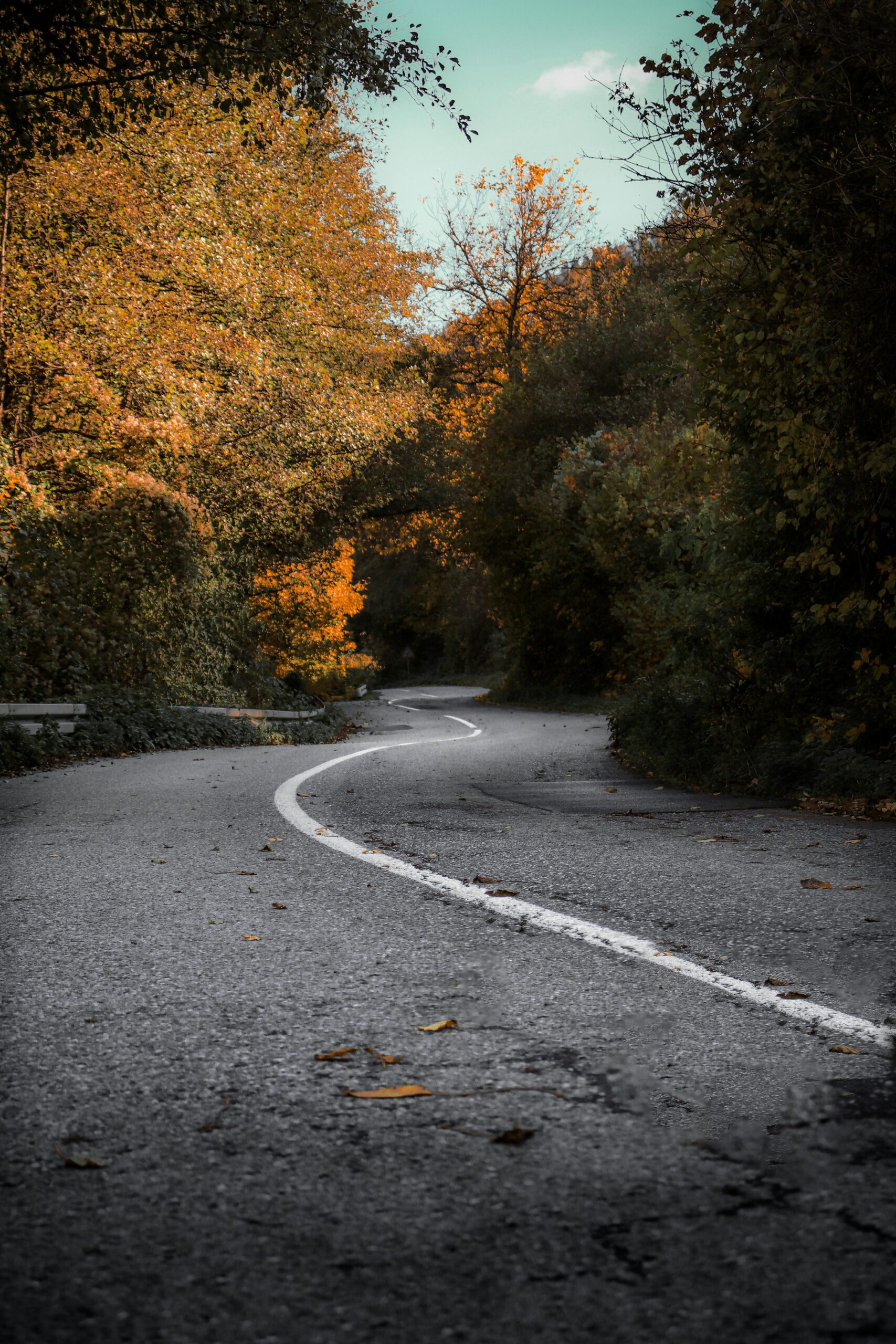 Winding road through autumn forest landscape showing technology transformation